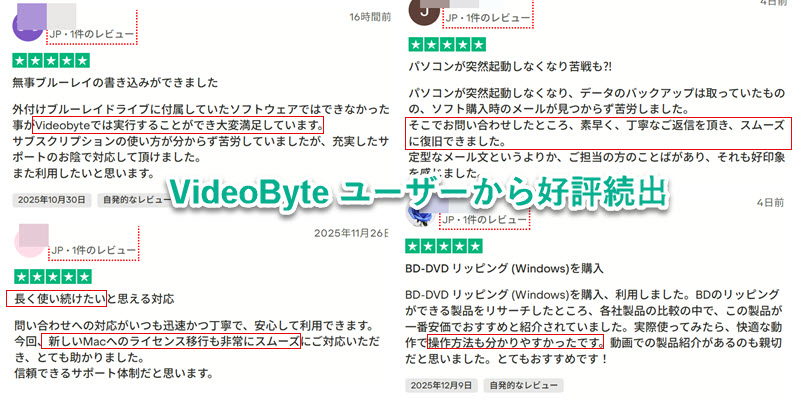 VideoByte評判がいい