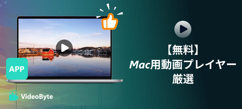 Mac動画プレイヤー比較