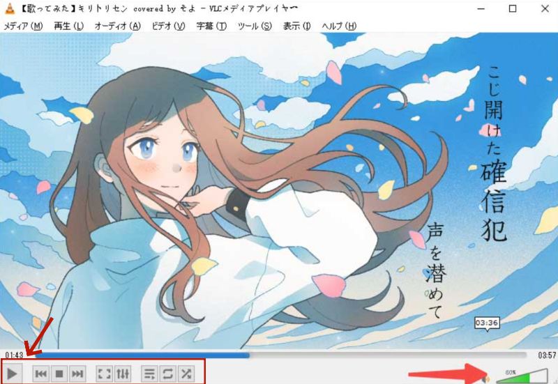 AVIファイルの再生を始める