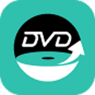 VideoByte DVD リッピング