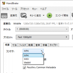 iPhoneで再生可能な動画フォーマット