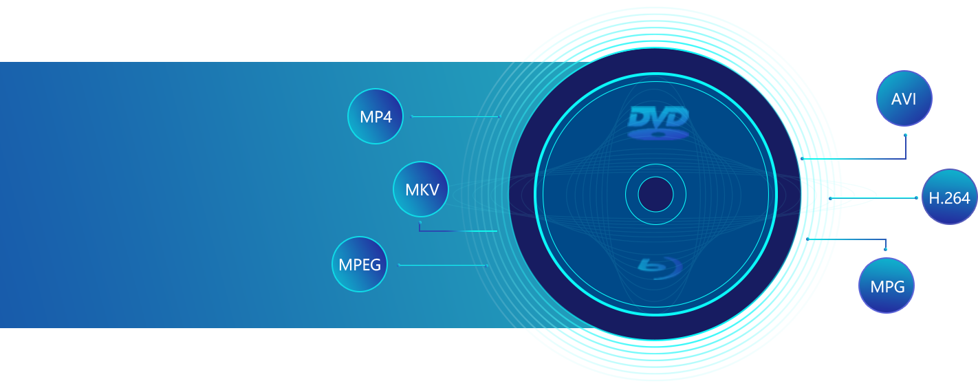 DVDや様々なファイル形式に対応