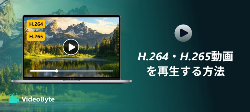 H.264・H.265動画を再生する方法