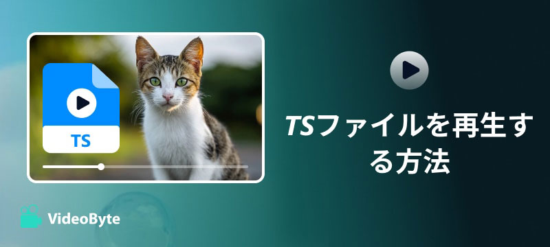 TSファイルを再生する方法