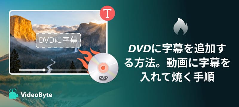 DVDに字幕を追加
