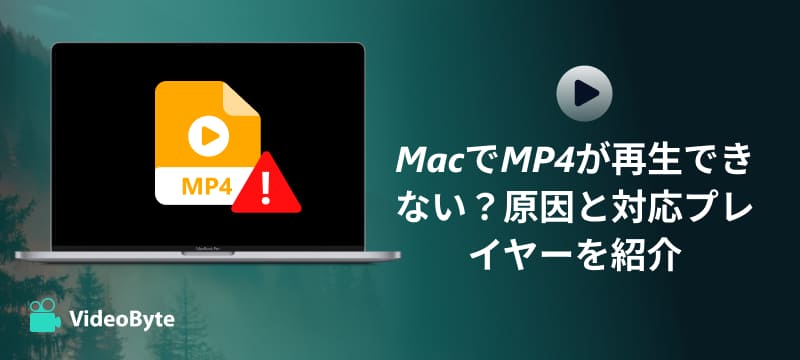 MacでMP4再生できない